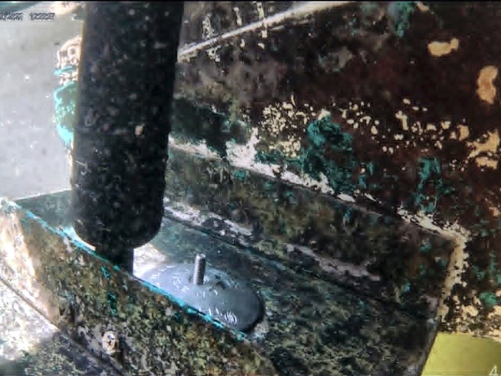 Heavy fouling after cleaning by BarnacleBeGone LLC