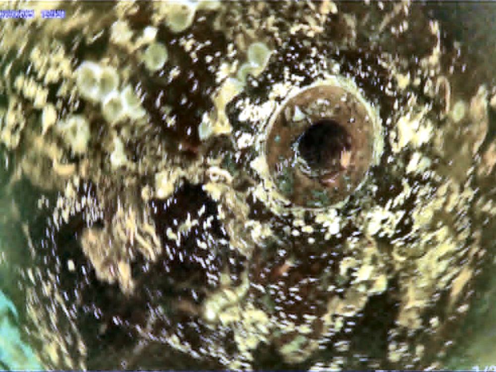 Hull and thru-hull after cleaning by BarnacleBeGone LLC
