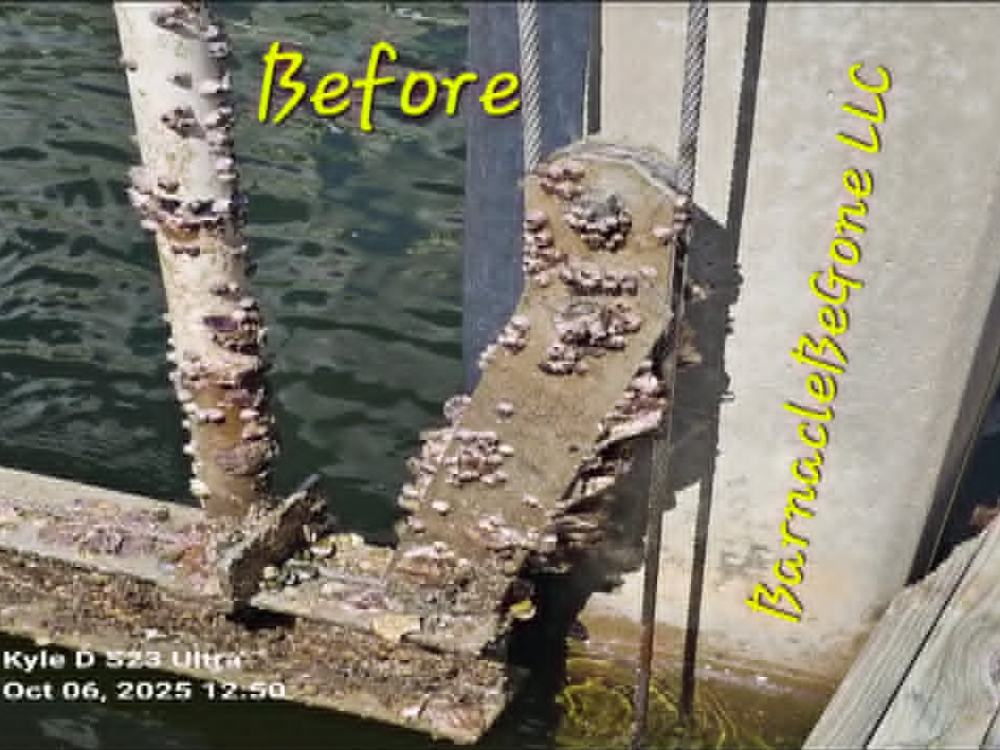 Lift bunks before cleaning, covered in barnacle and marine growth