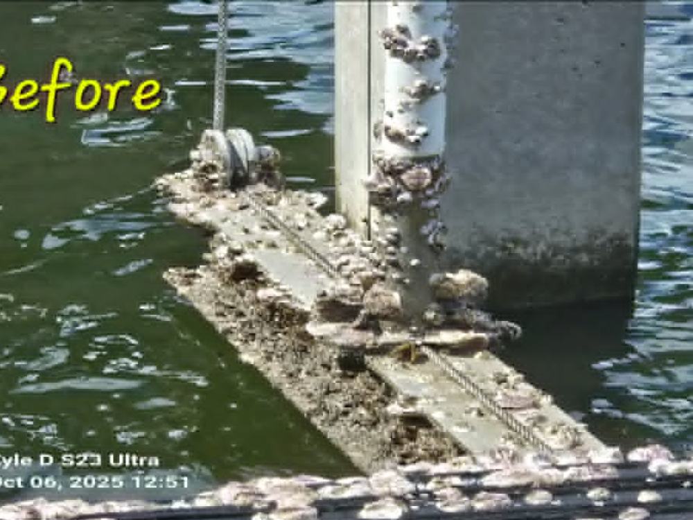 Boat lift cradle before cleaning, covered in barnacle and marine growth