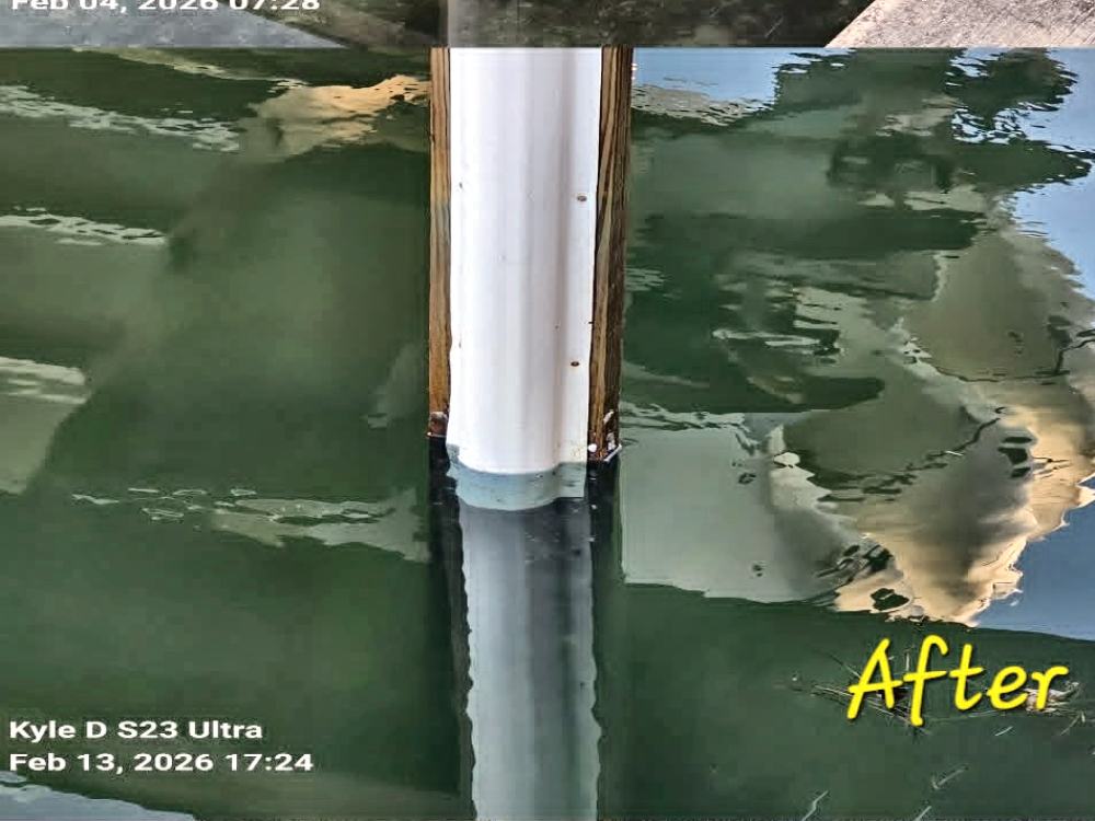 Dock piling after cleaning by BarnacleBeGone LLC