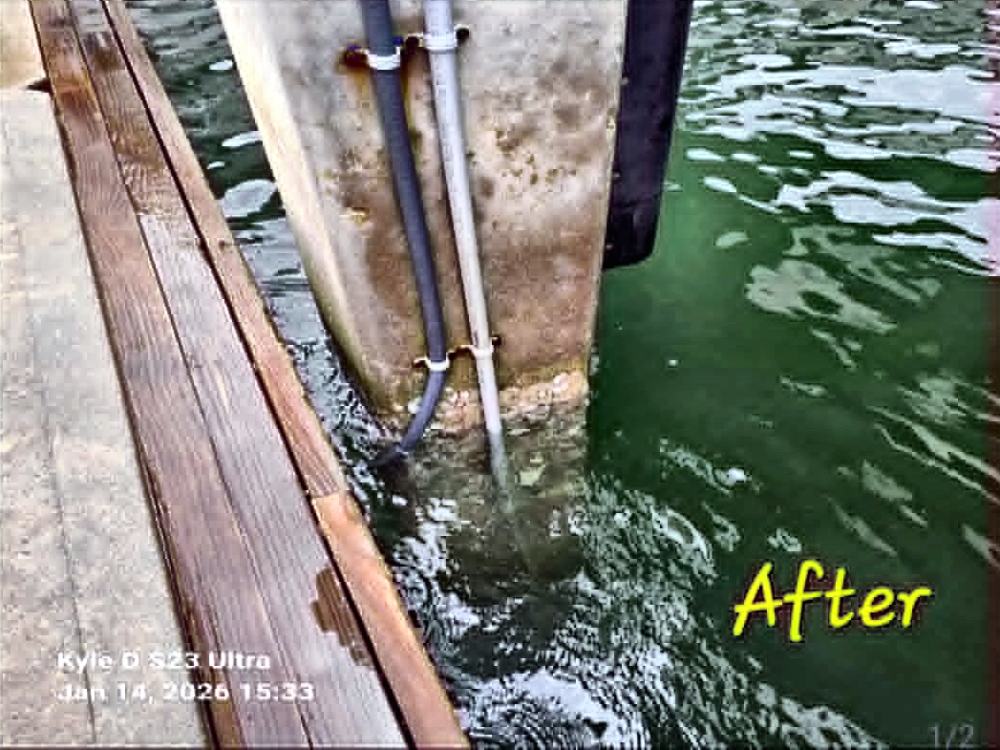 Concrete piling after cleaning by BarnacleBeGone LLC