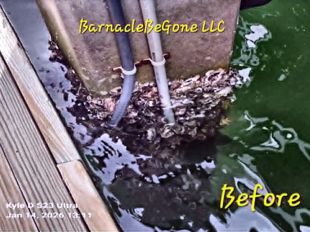 Concrete piling before cleaning, covered in barnacle and marine growth