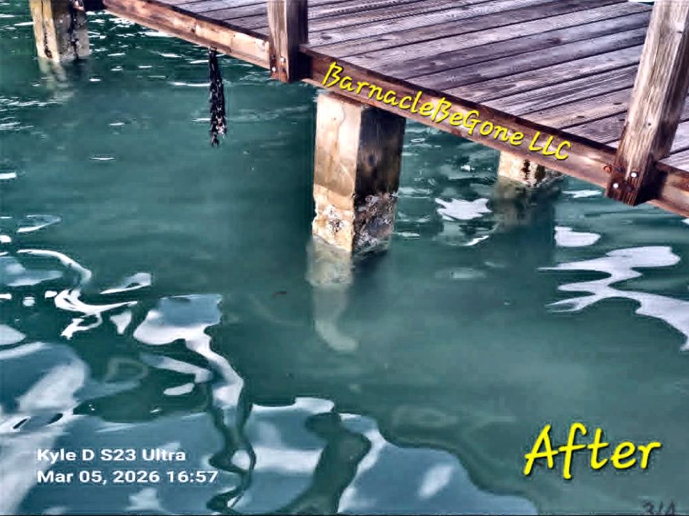 Dock and pilings after cleaning by BarnacleBeGone LLC