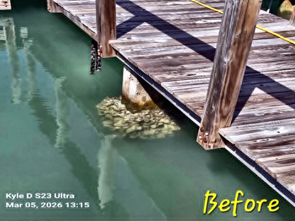 Dock and pilings before cleaning, covered in barnacle and marine growth