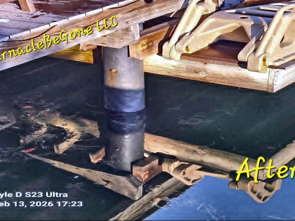 Piling at the waterline after cleaning by BarnacleBeGone LLC