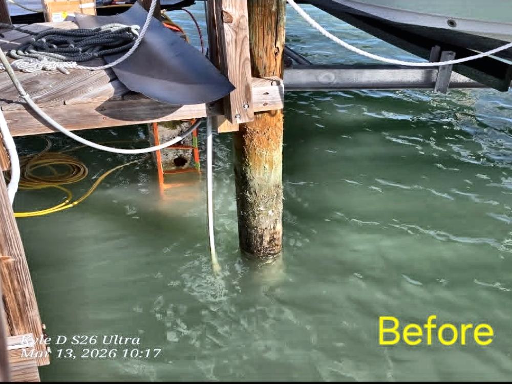 Wrapped pilings before cleaning, covered in barnacle and marine growth