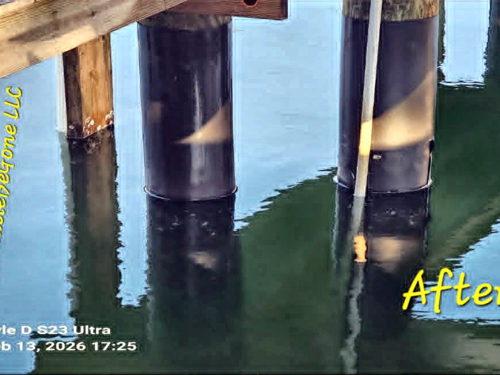 Piling wrap after cleaning by BarnacleBeGone LLC