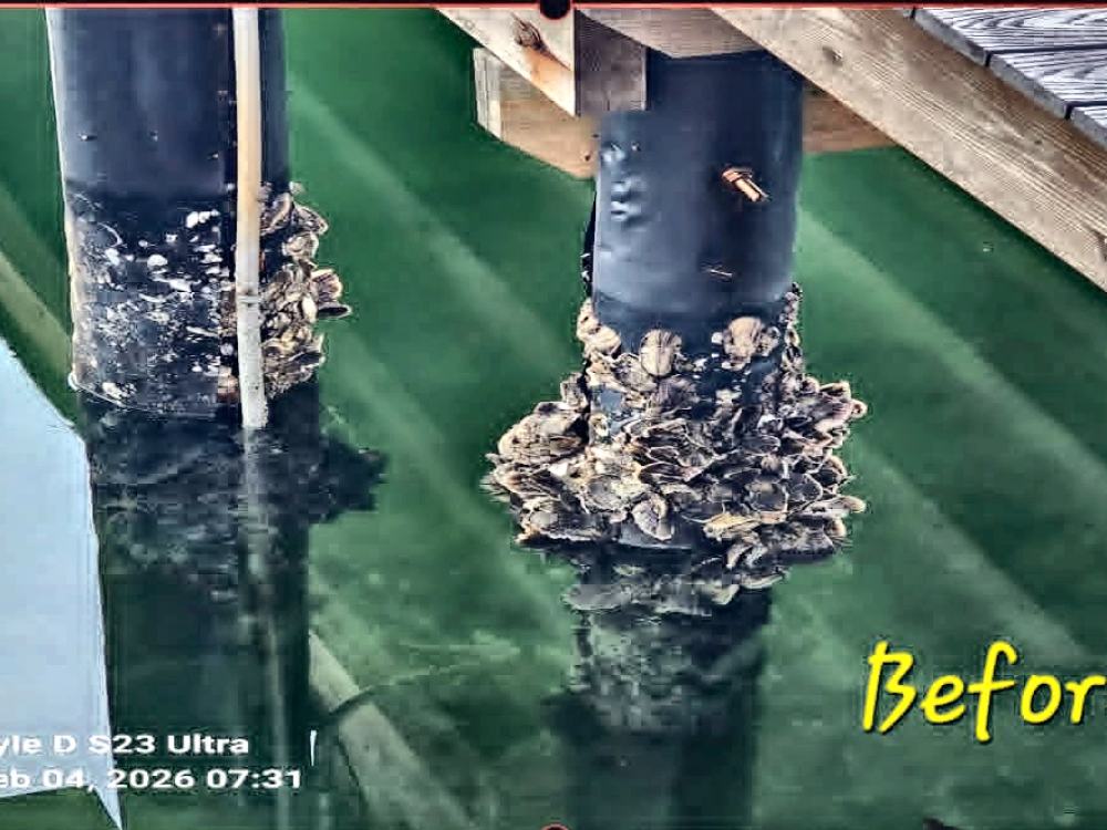 Piling wrap before cleaning, covered in barnacle and marine growth
