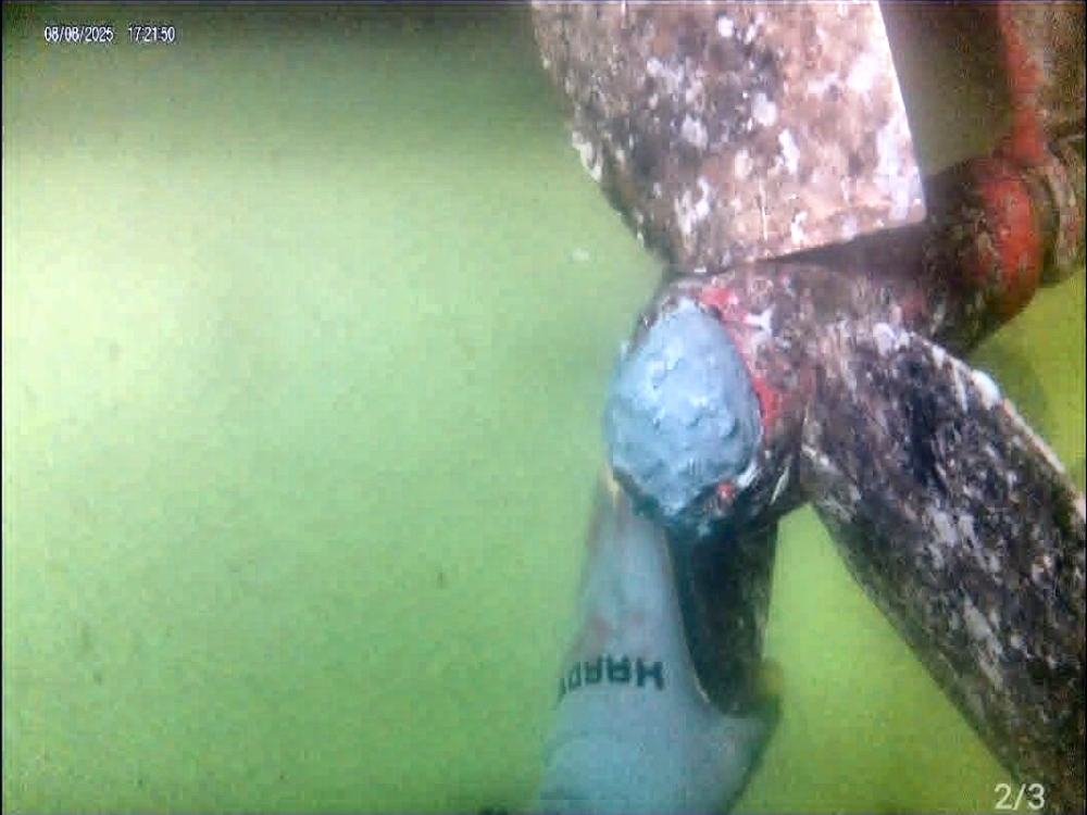 Propeller after cleaning by BarnacleBeGone LLC