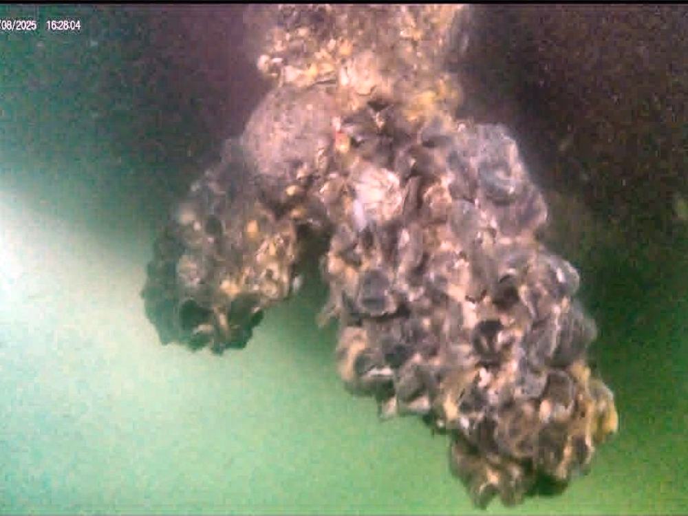 Propeller before cleaning, covered in barnacle and marine growth