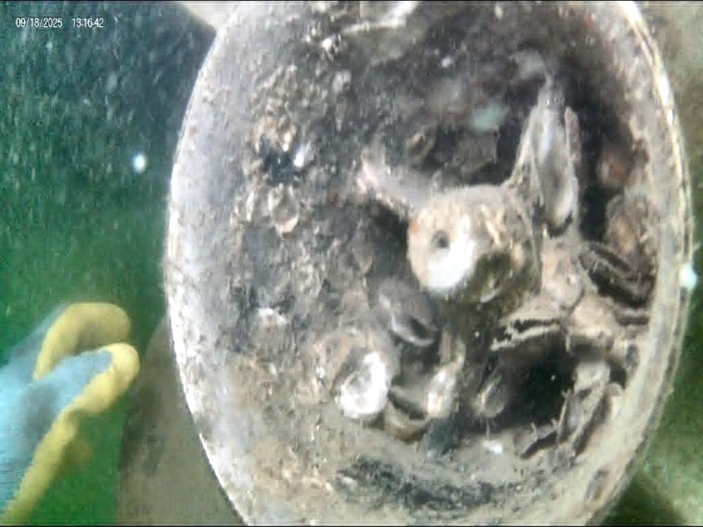 Thruster tunnel before cleaning, covered in barnacle and marine growth